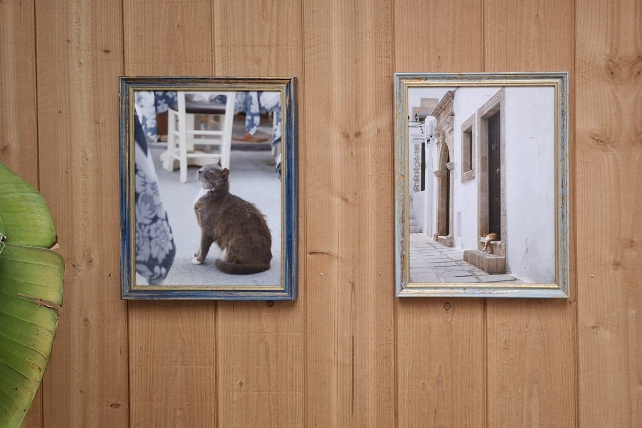 Lijsten op Maat
